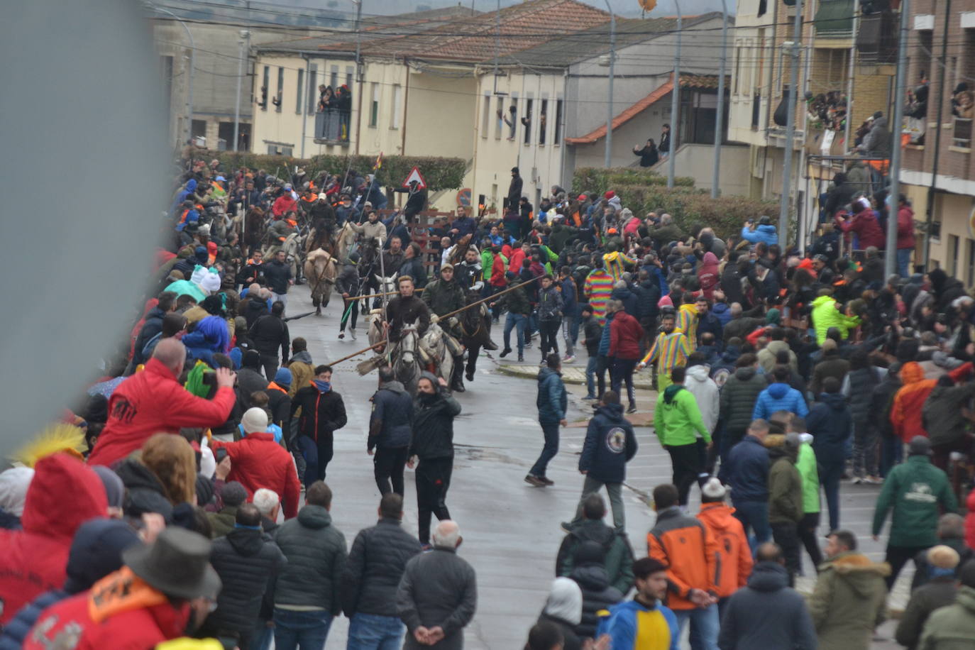 Tumultuoso encierro a caballo en el Carnaval del Toro de Ciudad Rodrigo