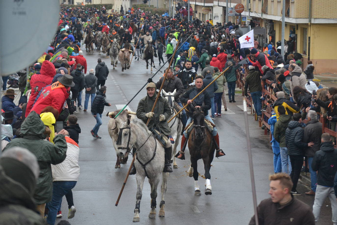 Tumultuoso encierro a caballo en el Carnaval del Toro de Ciudad Rodrigo