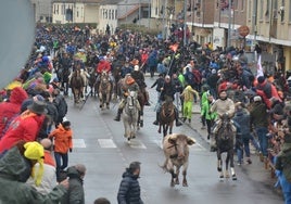 Uno de los bueyes corre por delante de la manada que protegen los garrochistas