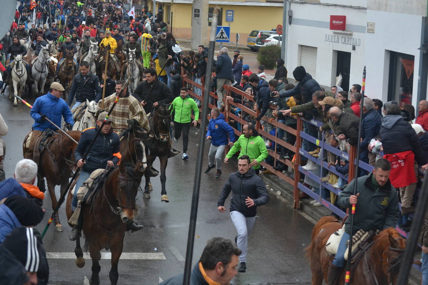 Tumultuoso encierro a caballo en el Carnaval del Toro de Ciudad Rodrigo