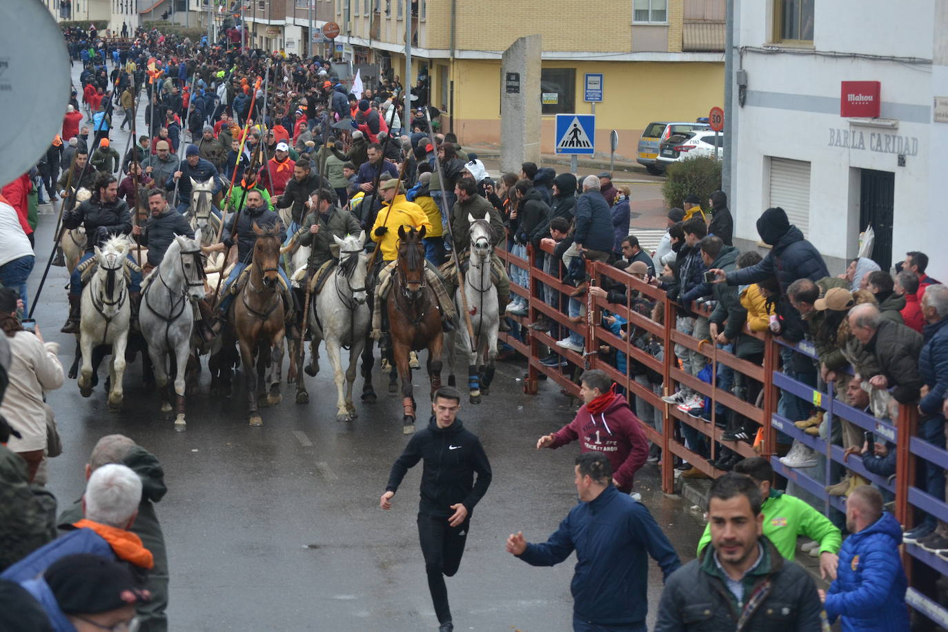 Tumultuoso encierro a caballo en el Carnaval del Toro de Ciudad Rodrigo