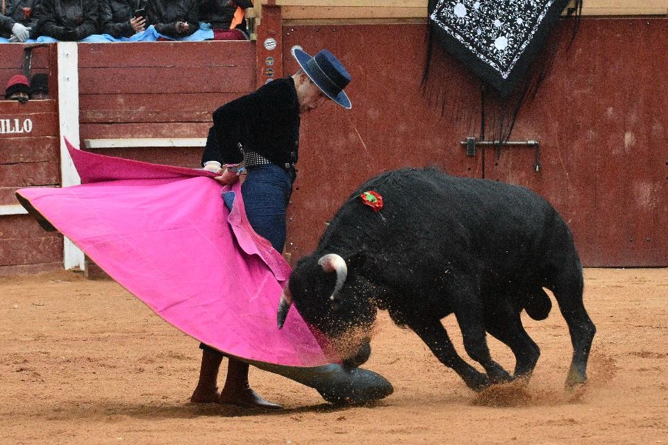 La tarde de los triunfadores el Bolsín, en imágenes