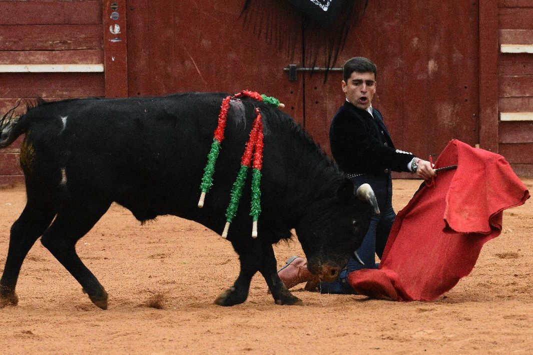 La tarde de los triunfadores el Bolsín, en imágenes