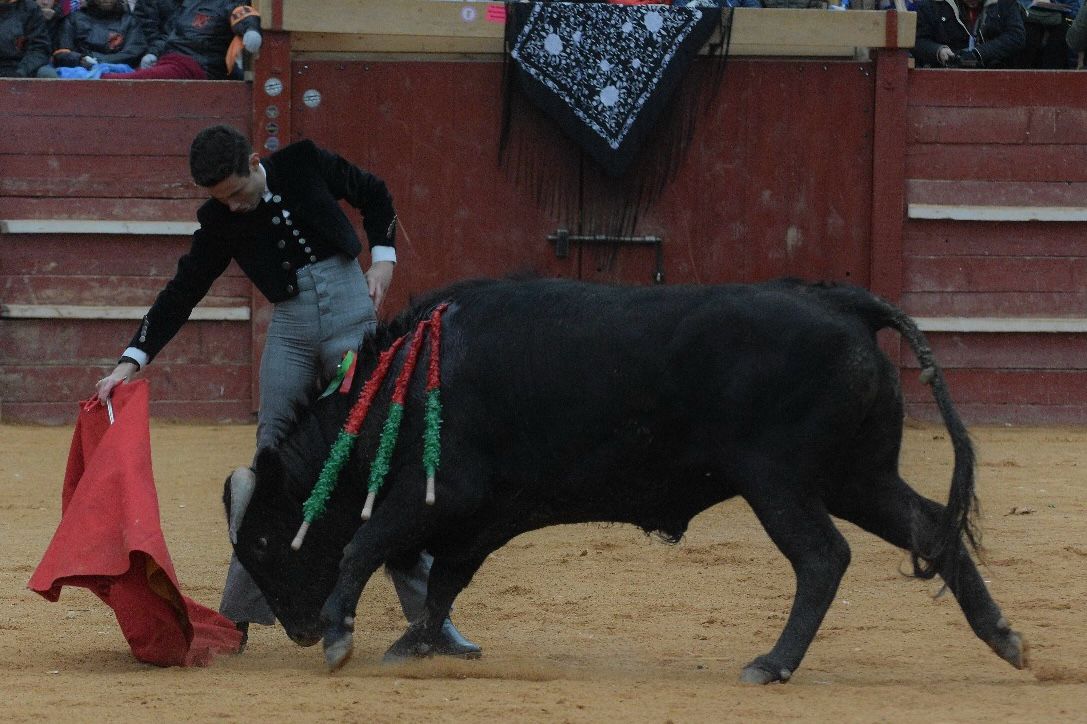 La tarde de los triunfadores el Bolsín, en imágenes