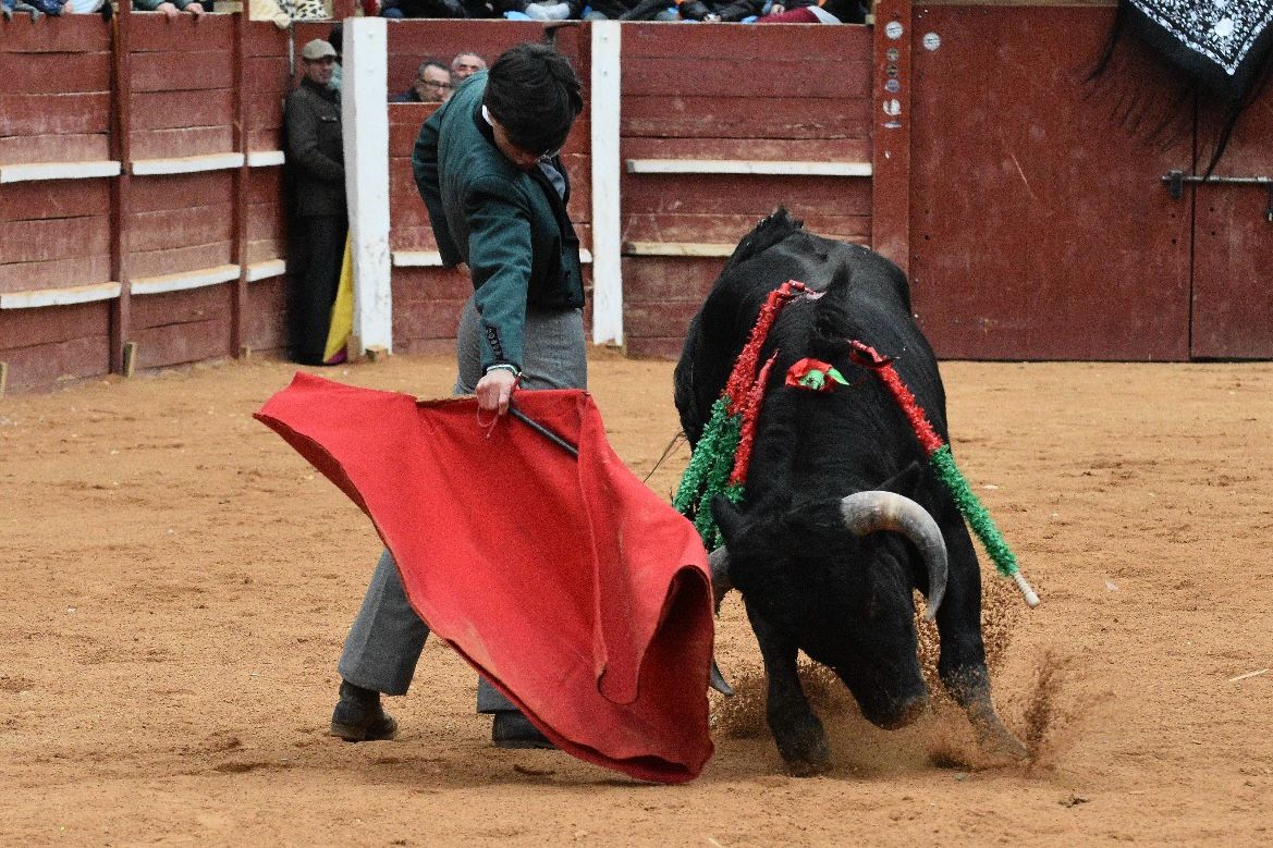 La tarde de los triunfadores el Bolsín, en imágenes