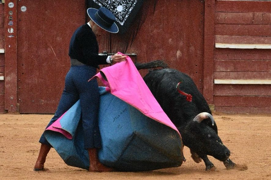 La tarde de los triunfadores el Bolsín, en imágenes