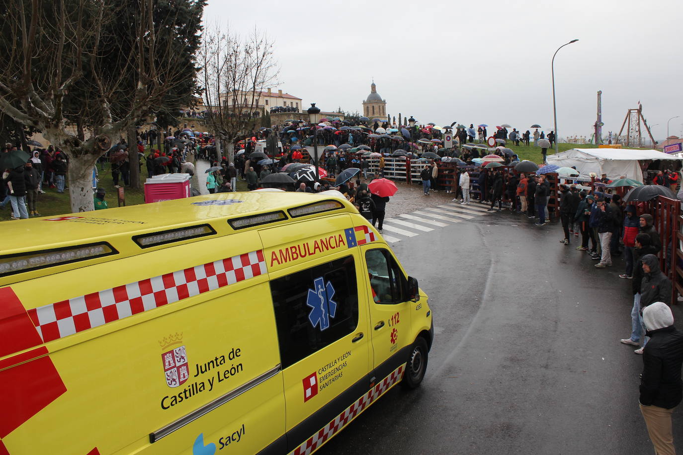 Tumultuoso encierro a caballo en el Carnaval del Toro de Ciudad Rodrigo