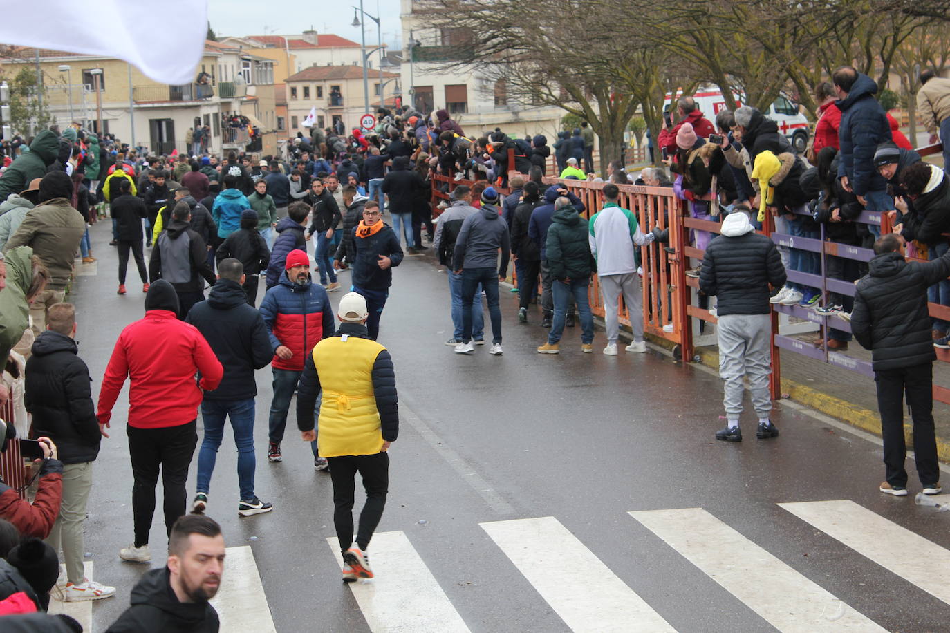 Tumultuoso encierro a caballo en el Carnaval del Toro de Ciudad Rodrigo