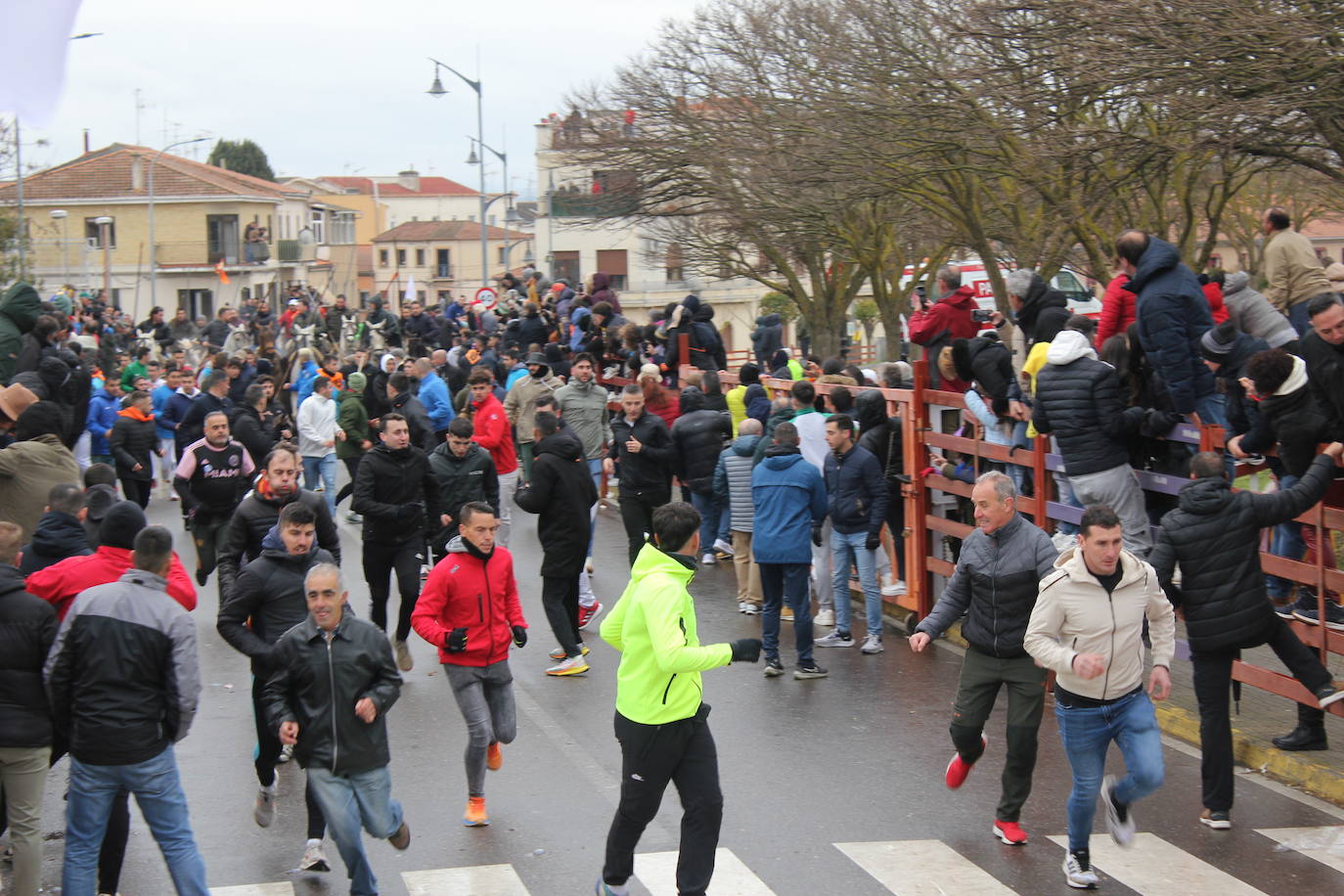 Tumultuoso encierro a caballo en el Carnaval del Toro de Ciudad Rodrigo