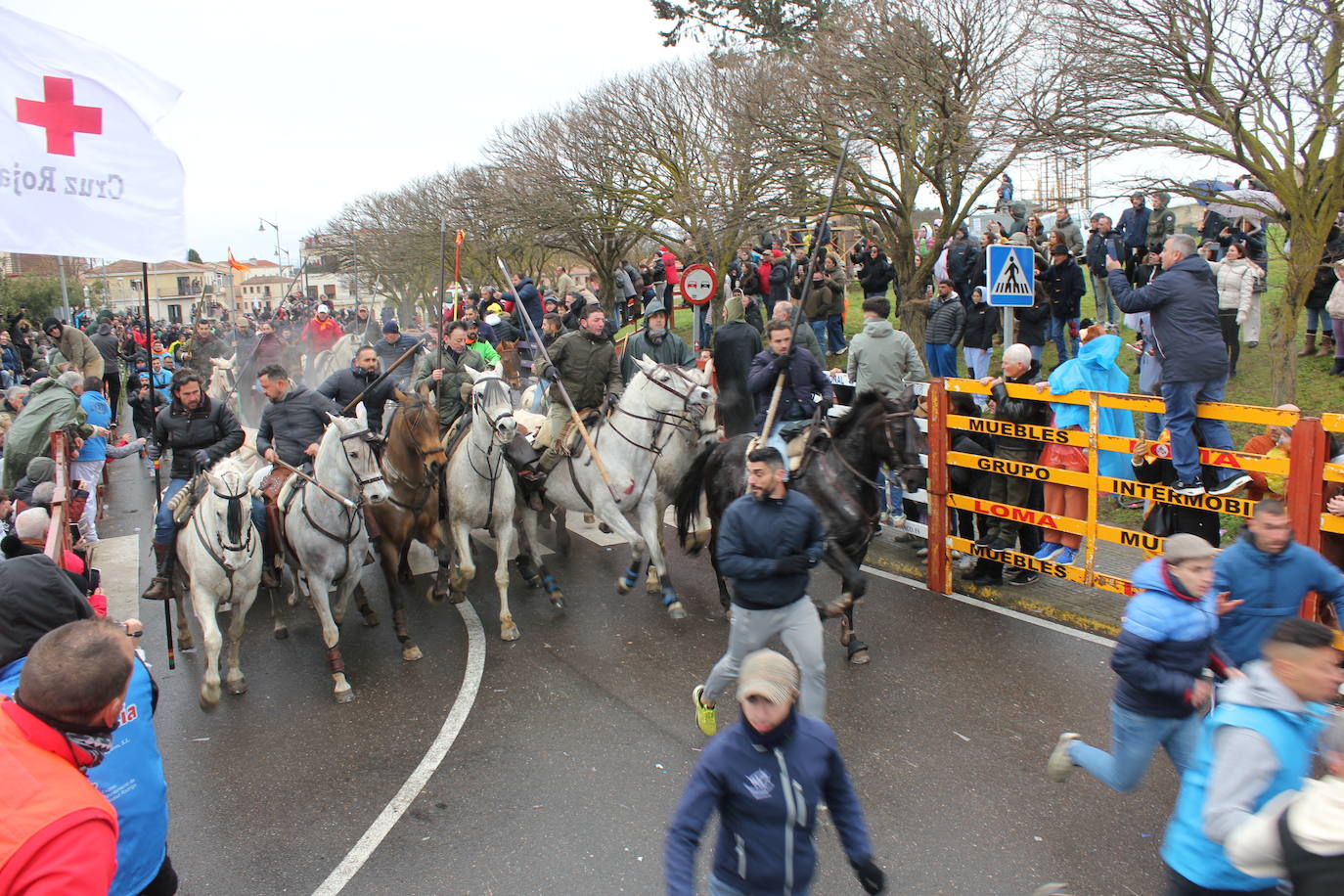 Tumultuoso encierro a caballo en el Carnaval del Toro de Ciudad Rodrigo