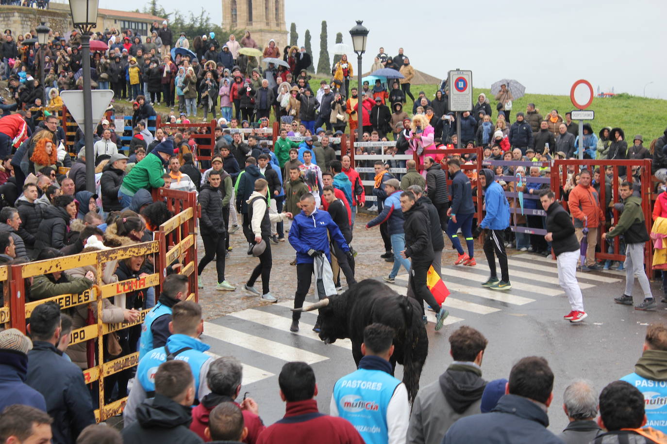 Tumultuoso encierro a caballo en el Carnaval del Toro de Ciudad Rodrigo