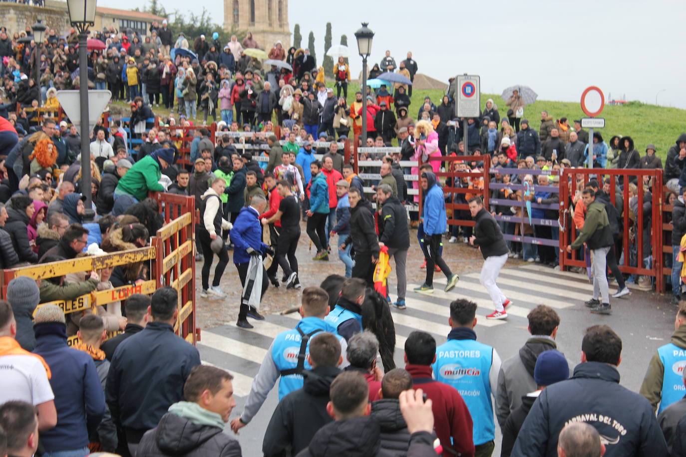 Tumultuoso encierro a caballo en el Carnaval del Toro de Ciudad Rodrigo