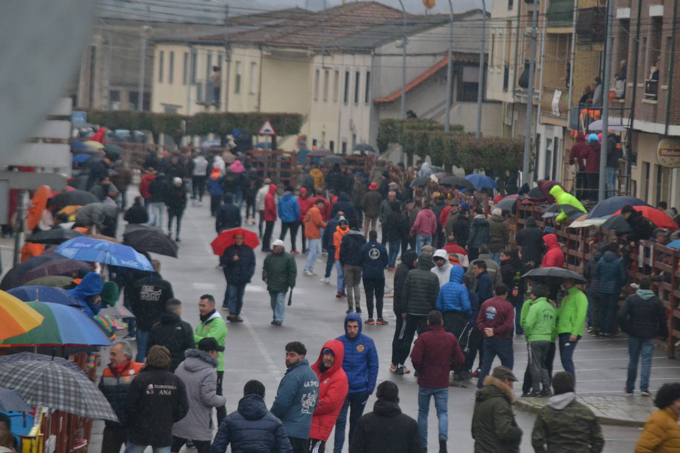 La lluvia no desluce el rápido encierro del lunes en el Carnaval del Toro