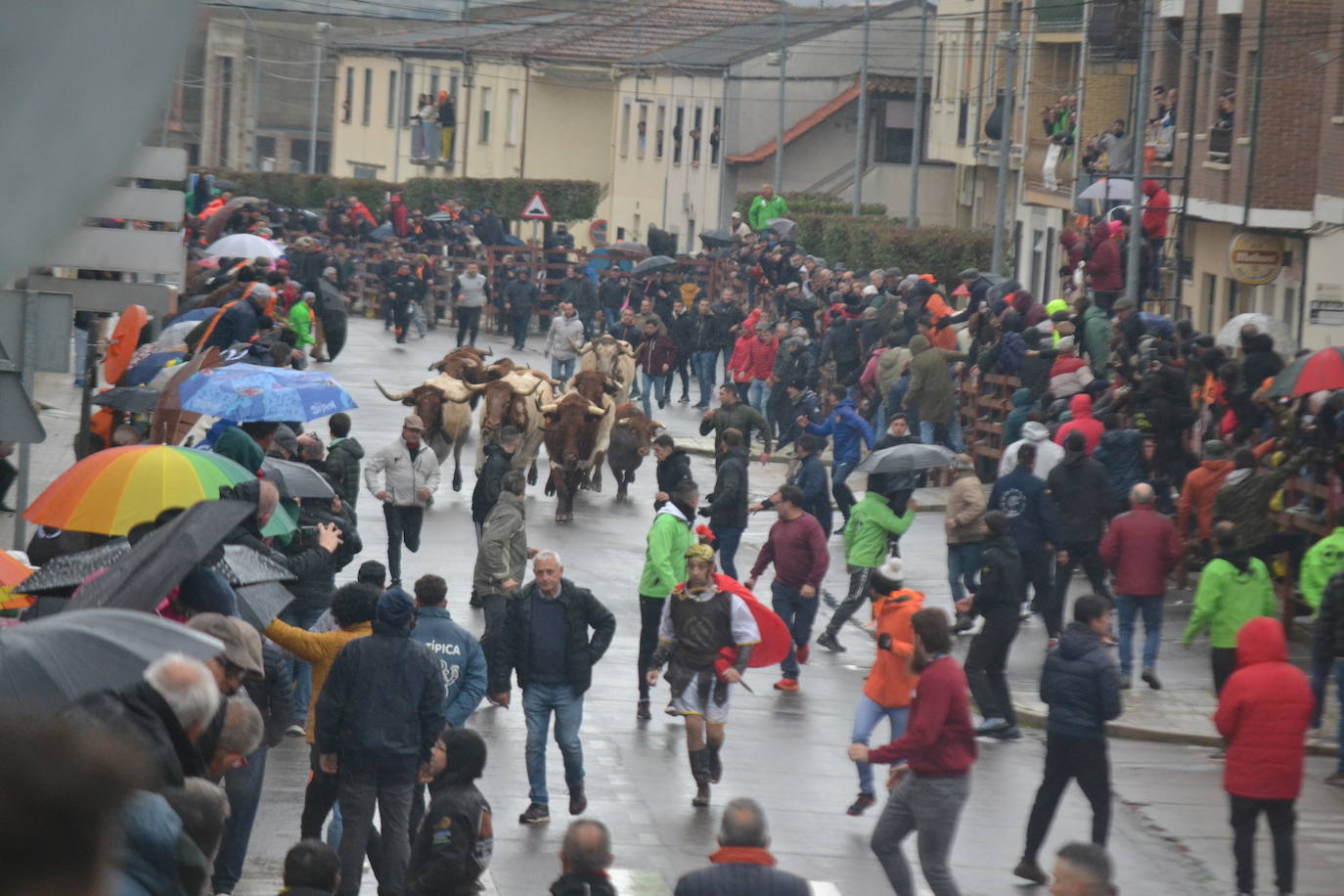 La lluvia no desluce el rápido encierro del lunes en el Carnaval del Toro