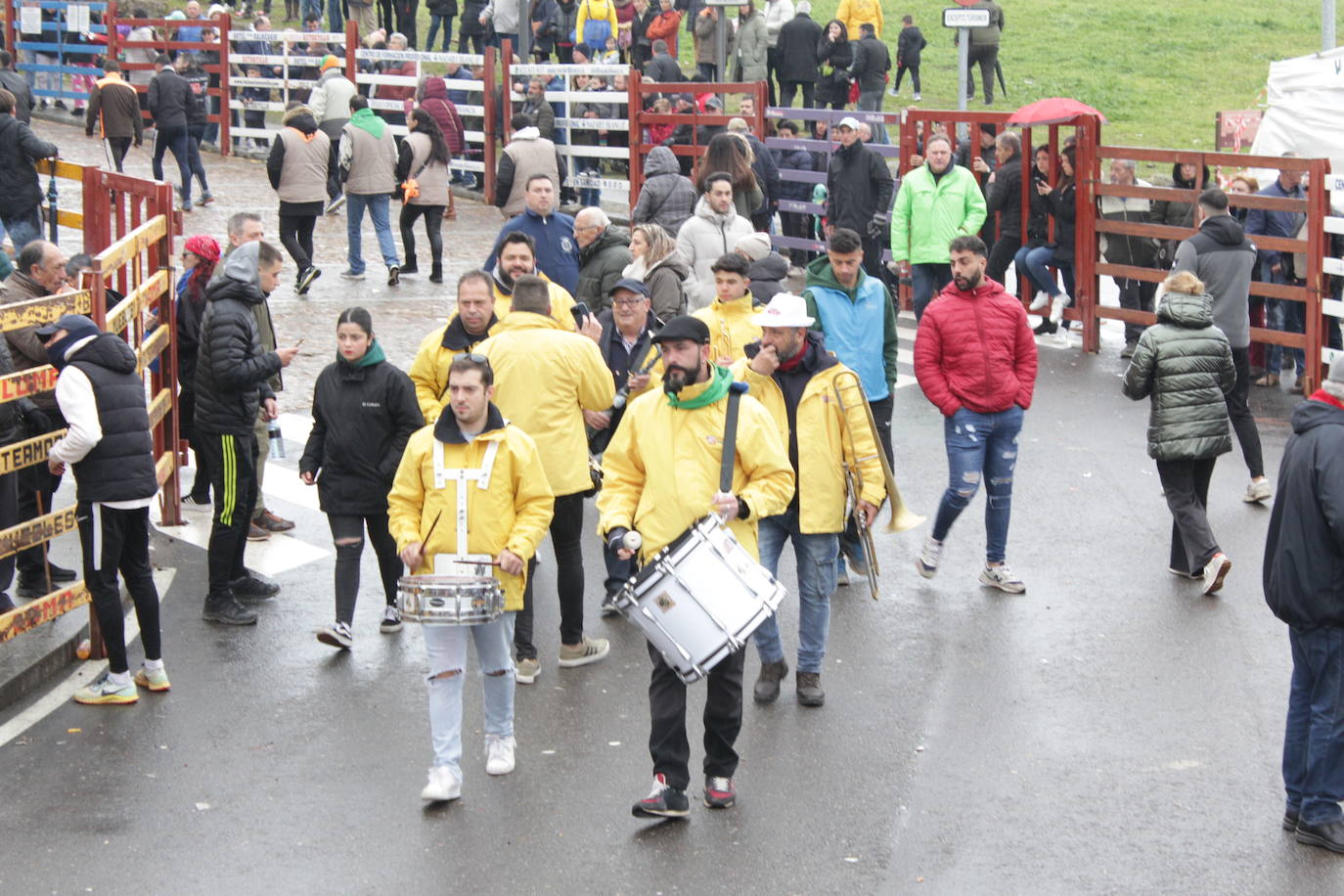 La lluvia no desluce el rápido encierro del lunes en el Carnaval del Toro
