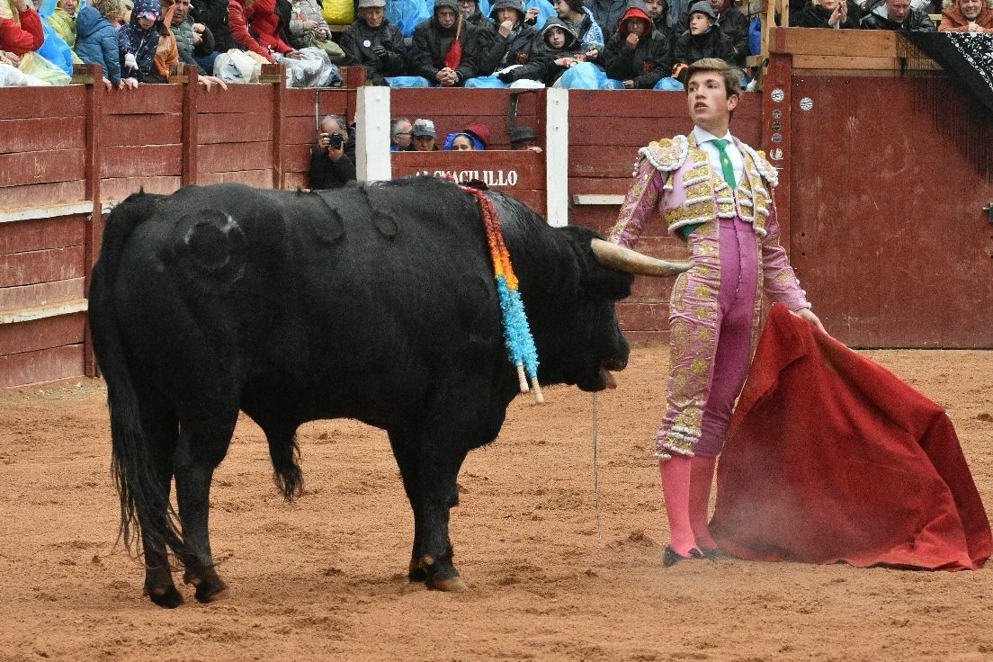 La novillada con picadores del Carnaval del Toro, en imágenes
