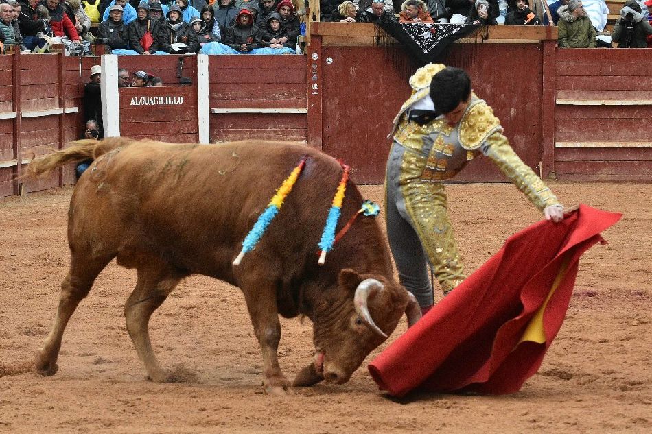 La novillada con picadores del Carnaval del Toro, en imágenes