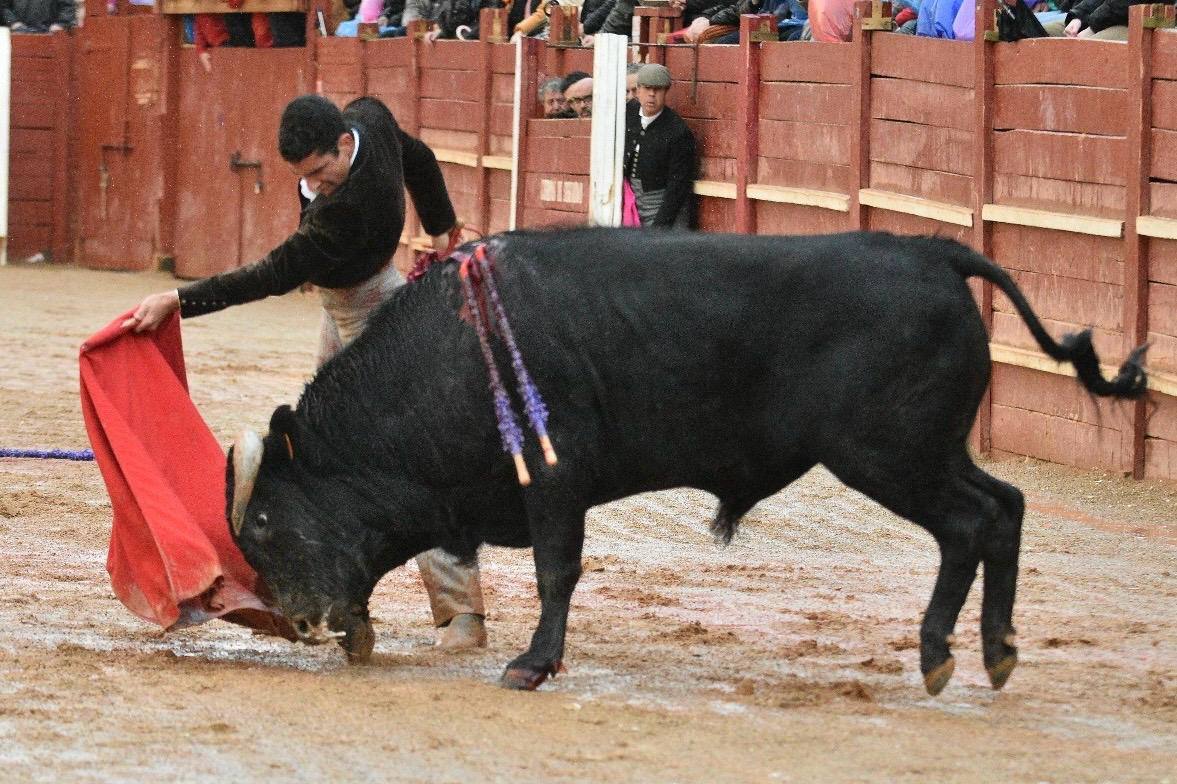 El último festival taurino del Carnaval del toro, en imágenes