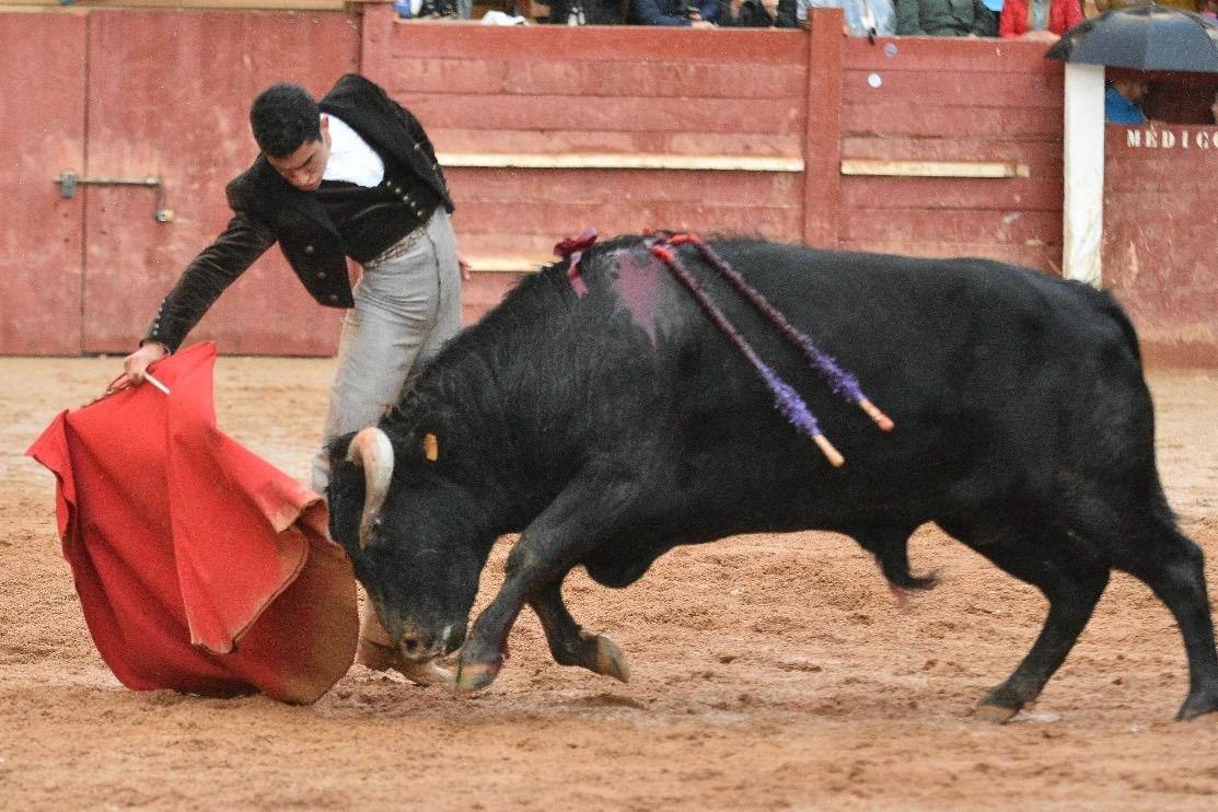 El último festival taurino del Carnaval del toro, en imágenes