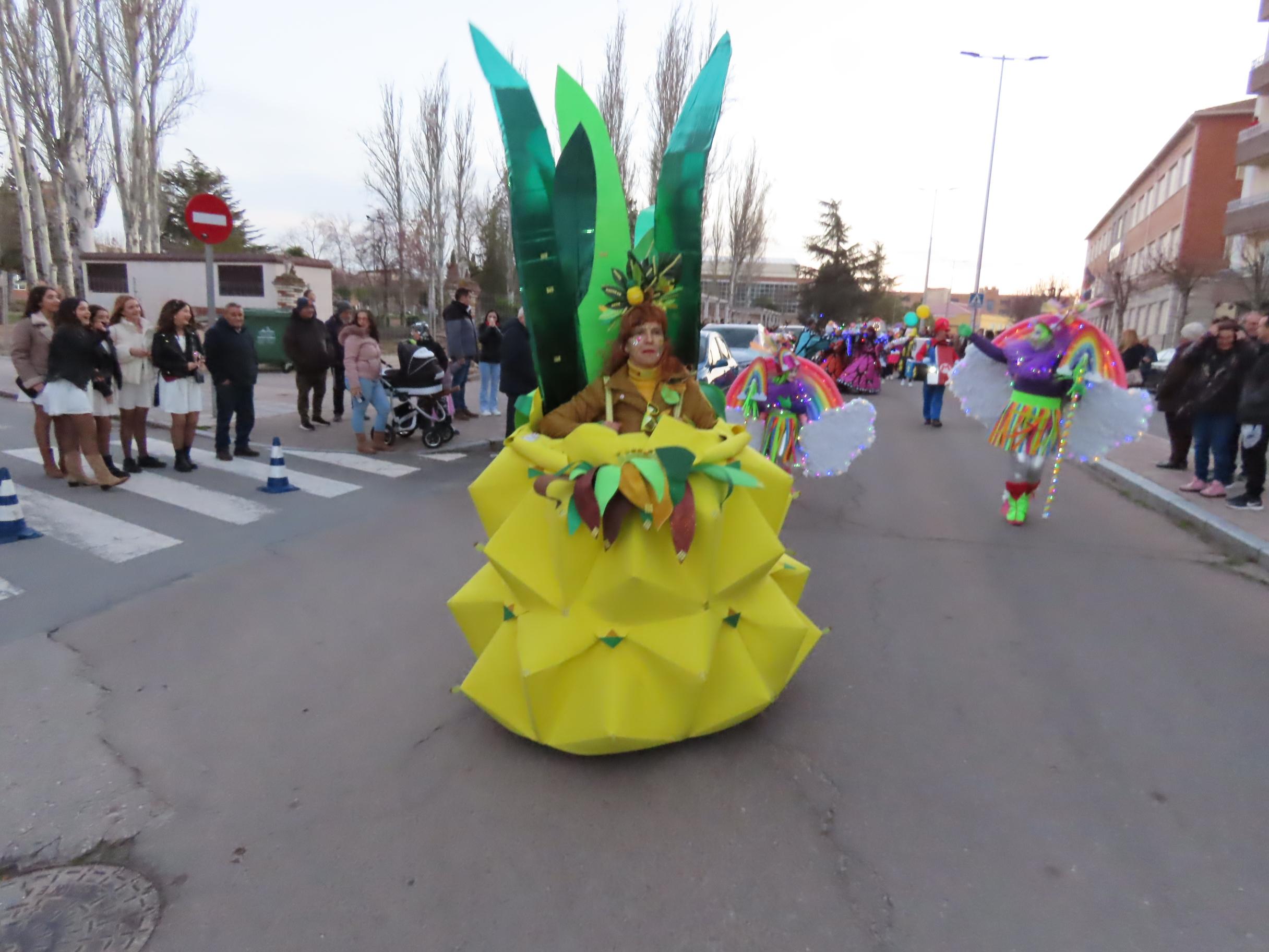 Originalidad en las calles de Peñaranda de Bracamonte por carnaval