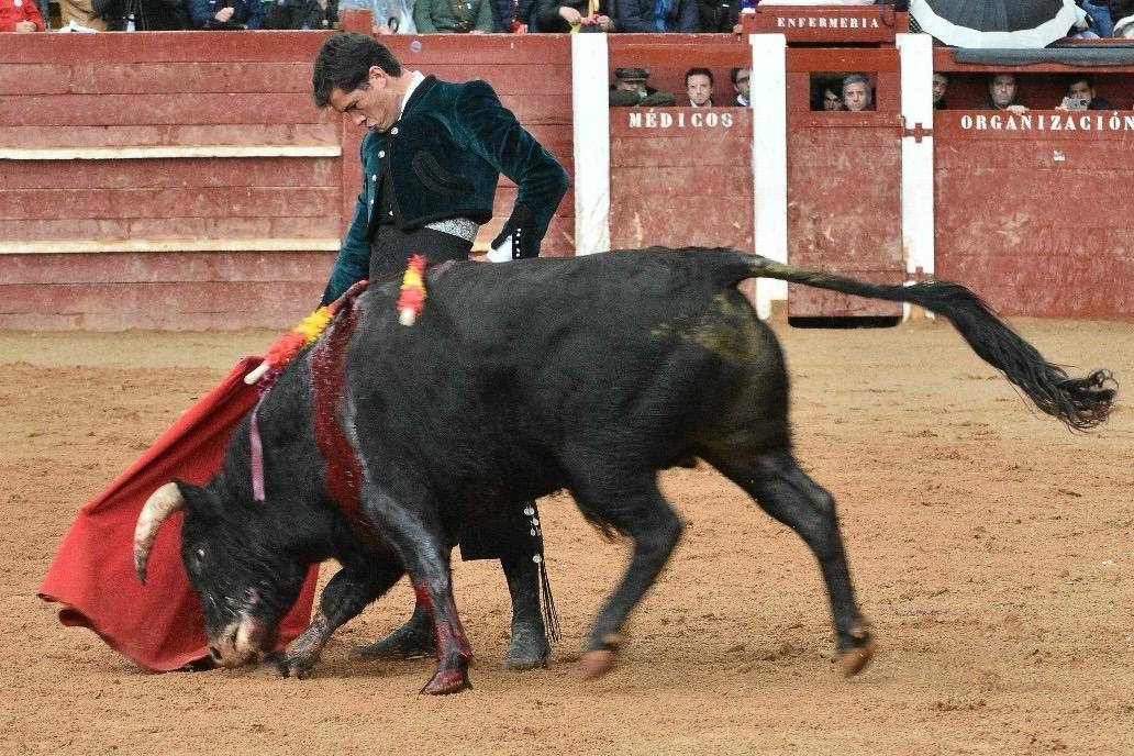 El último festival taurino del Carnaval del toro, en imágenes