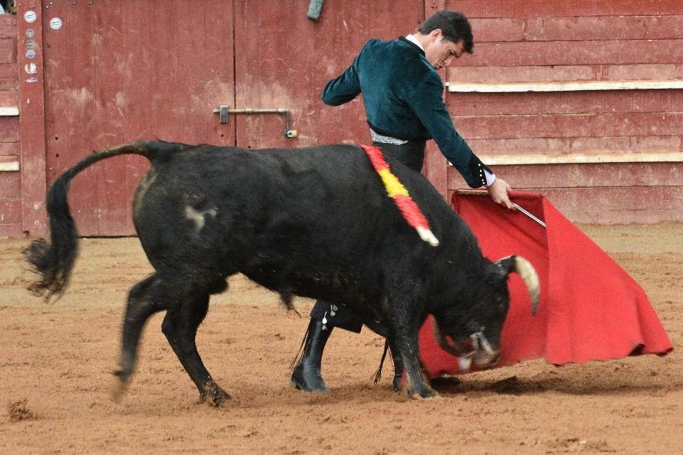 El último festival taurino del Carnaval del toro, en imágenes