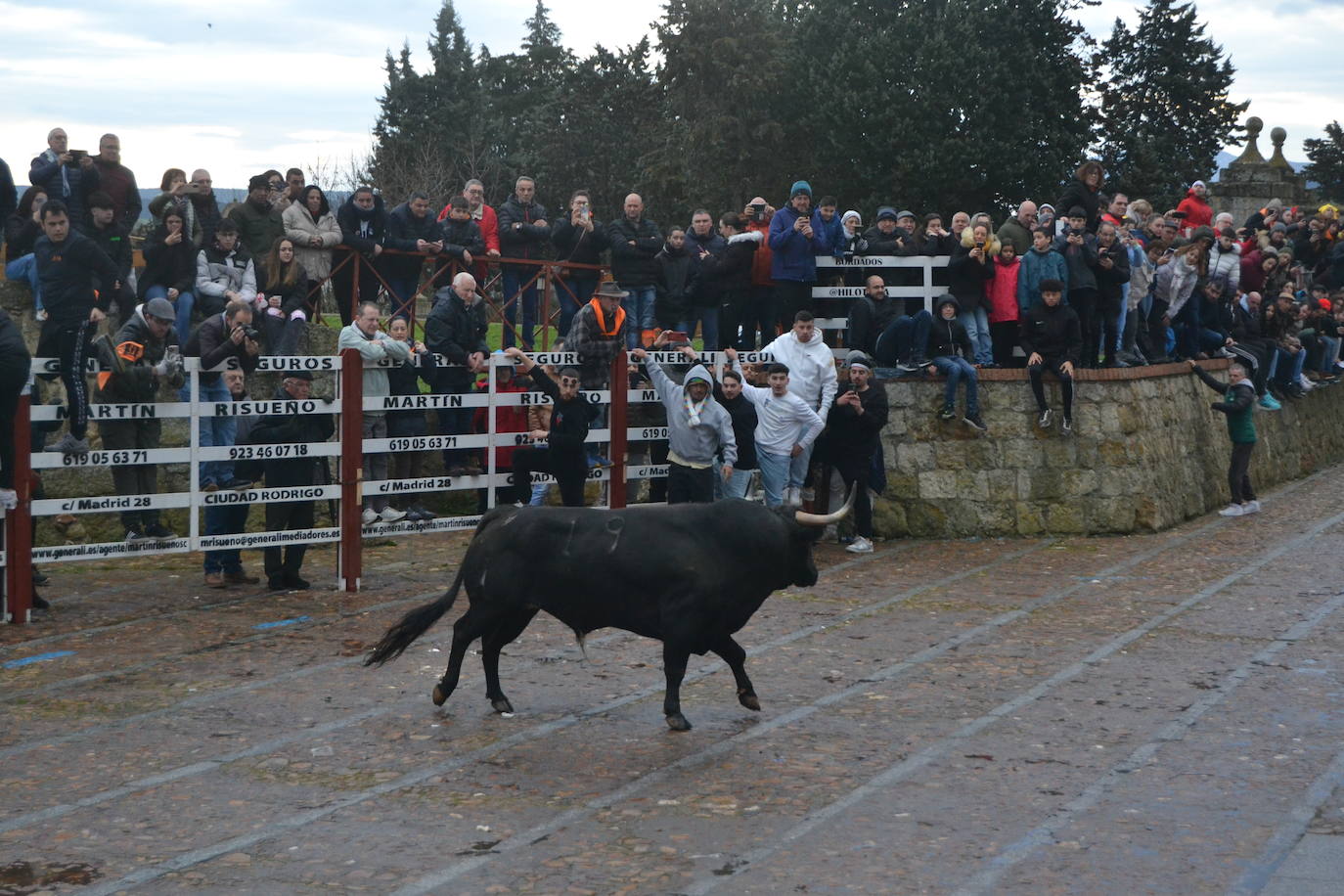 Entretenido Toro del Aguardiente del Carnaval del Toro