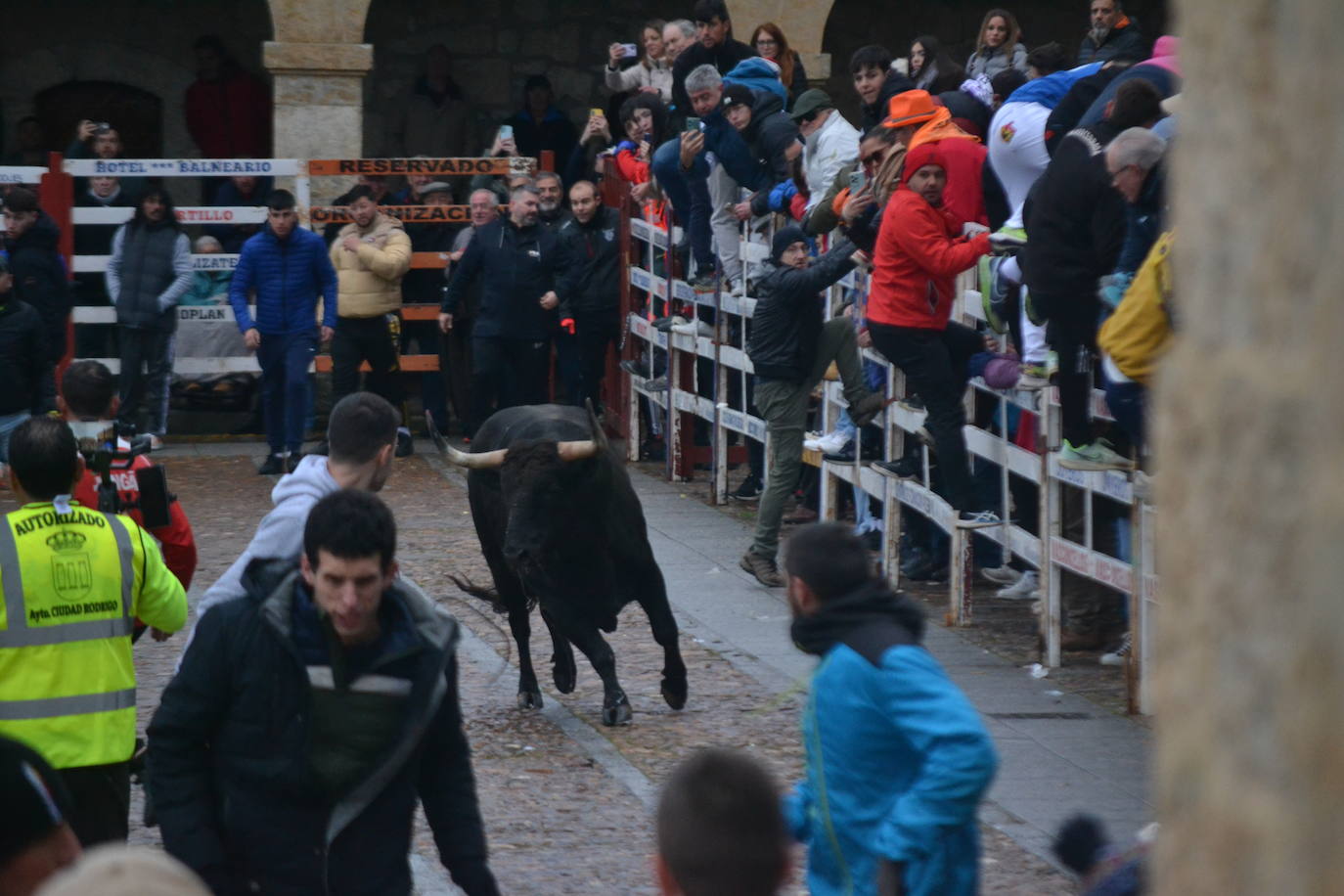 Entretenido Toro del Aguardiente del Carnaval del Toro