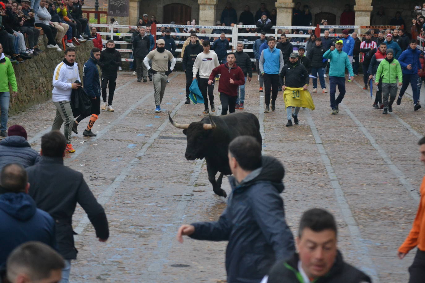 Entretenido Toro del Aguardiente del Carnaval del Toro