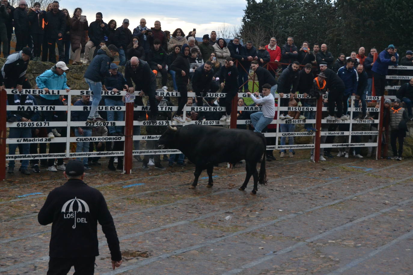 Entretenido Toro del Aguardiente del Carnaval del Toro