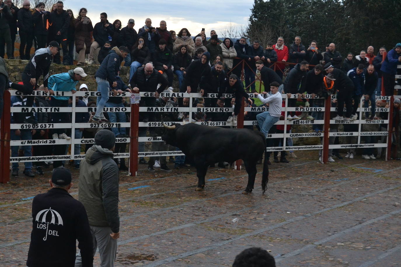 Entretenido Toro del Aguardiente del Carnaval del Toro