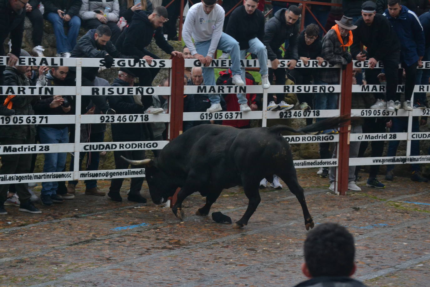 Entretenido Toro del Aguardiente del Carnaval del Toro