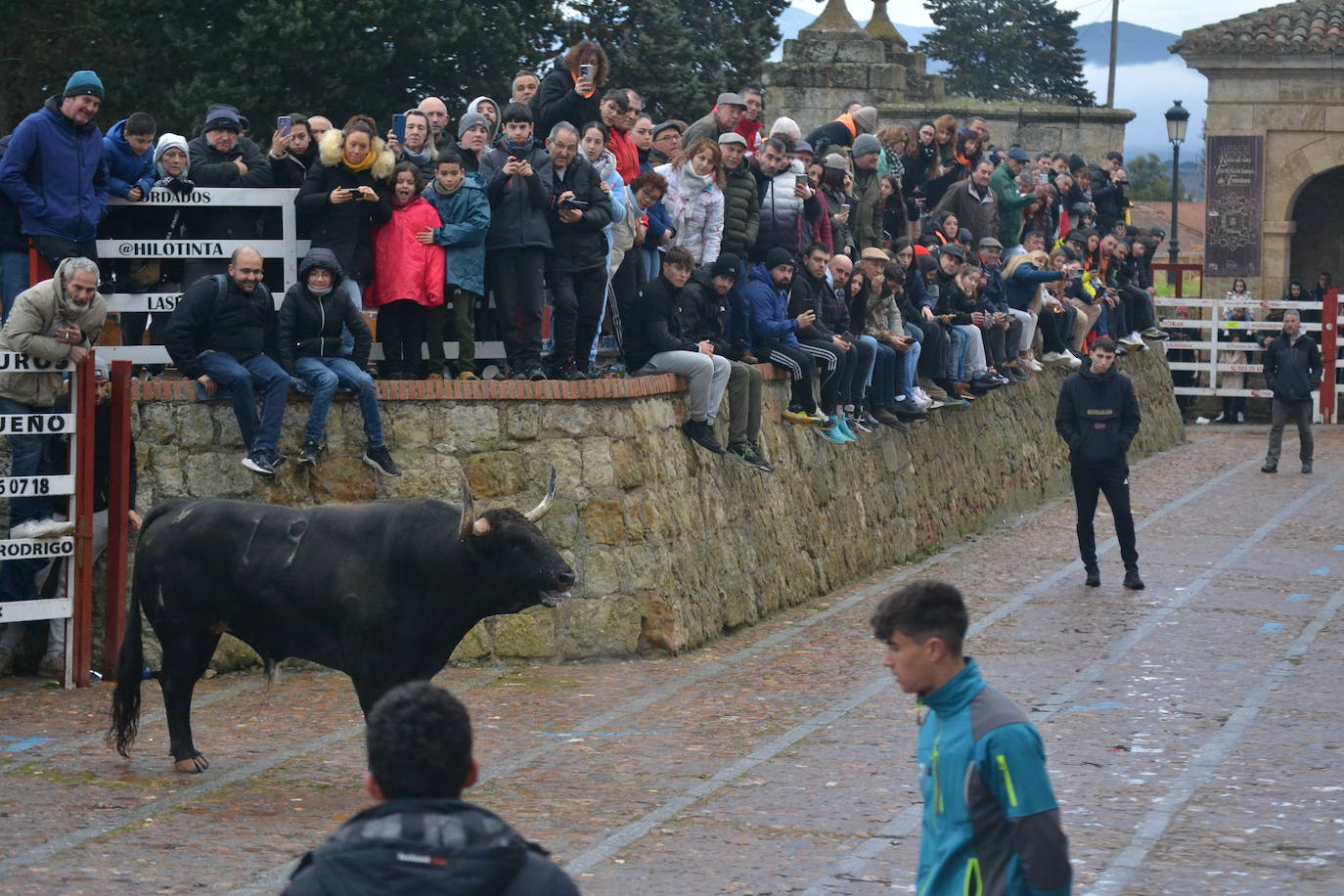 Entretenido Toro del Aguardiente del Carnaval del Toro