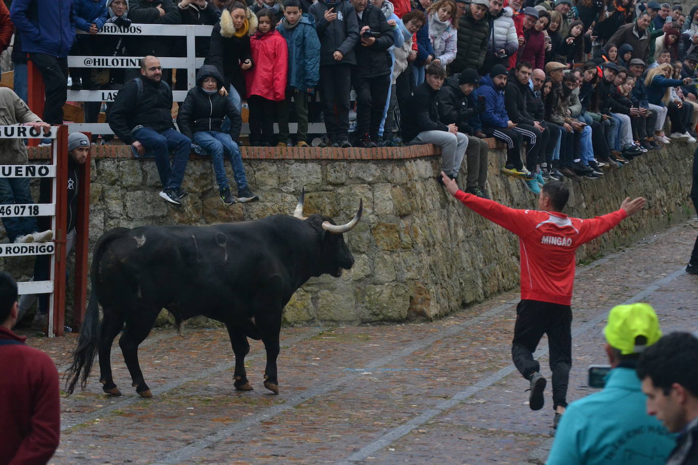 Entretenido Toro del Aguardiente del Carnaval del Toro