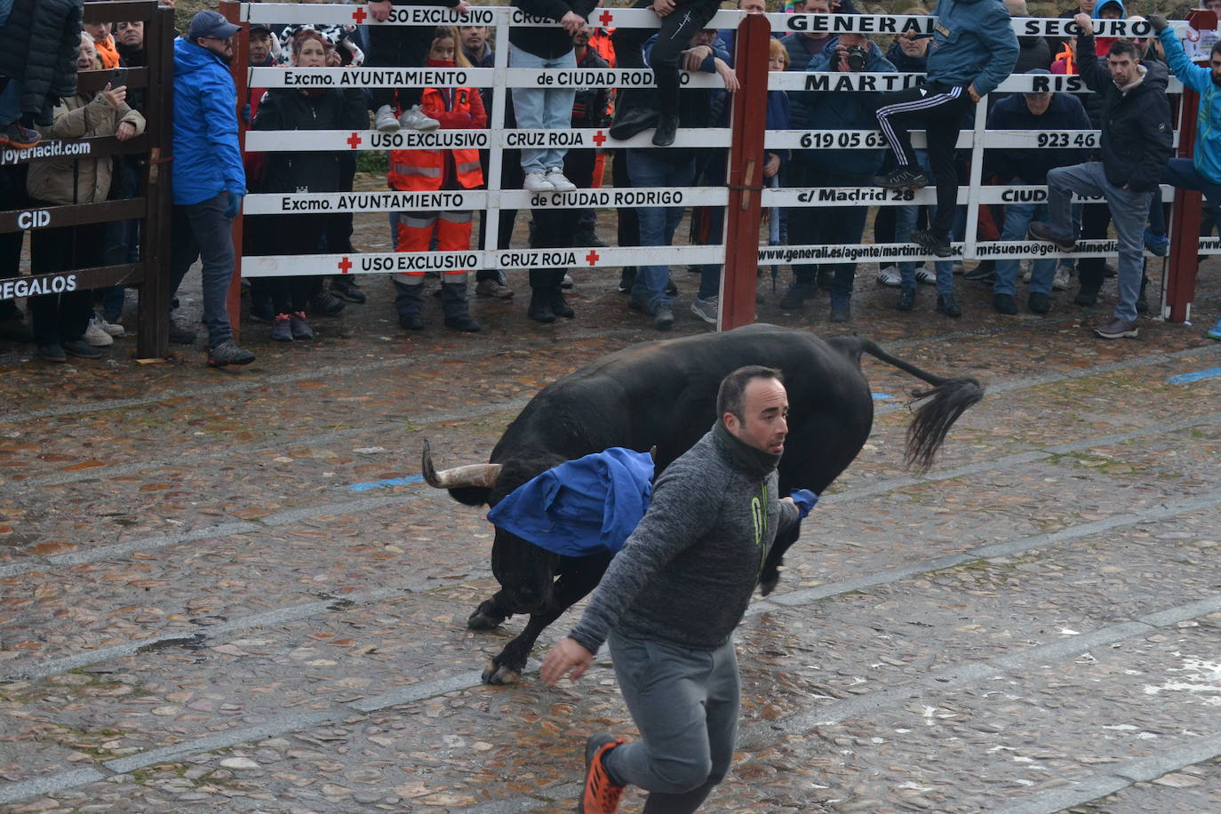 Entretenido Toro del Aguardiente del Carnaval del Toro