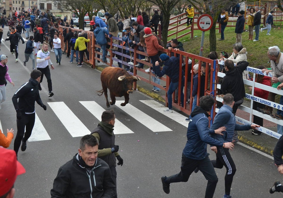 El último encierro del Carnaval del Toro, el más veloz de la serie