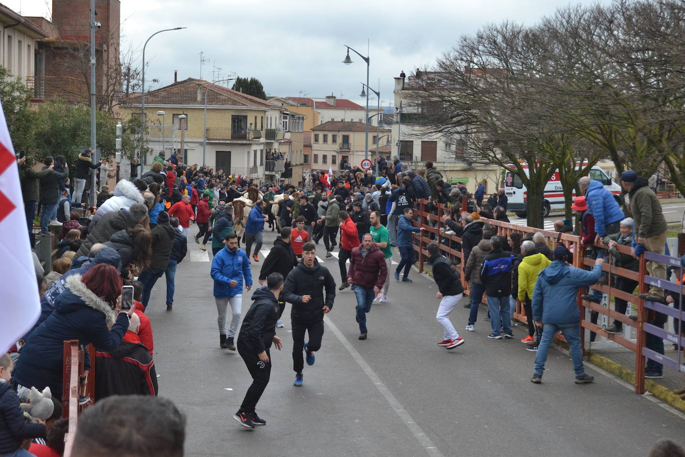 El último encierro del Carnaval del Toro, el más veloz de la serie