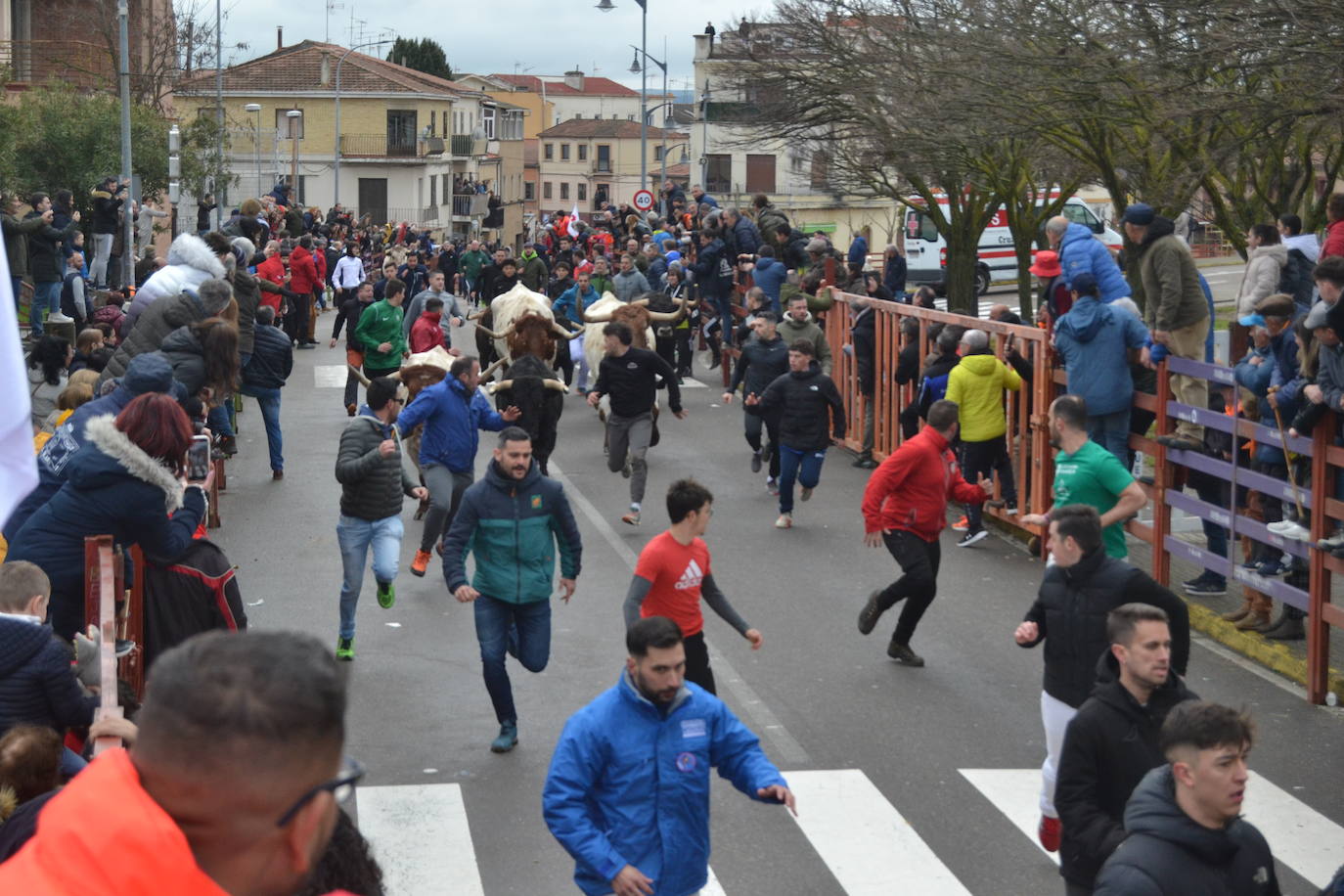 El último encierro del Carnaval del Toro, el más veloz de la serie