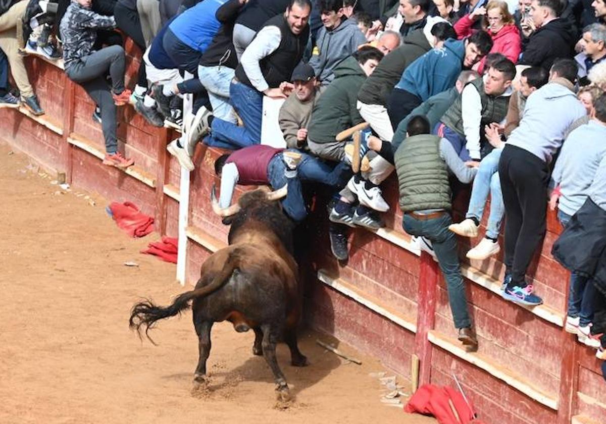 Qué ha ocurrido en Salamanca este martes 4 de marzo de 2025