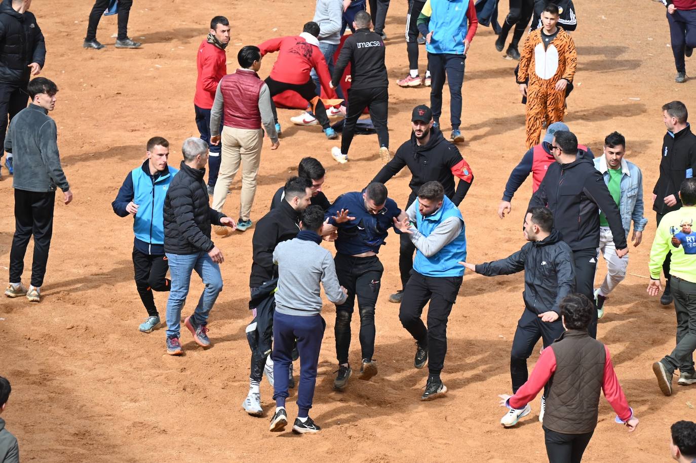 Tres heridos de gravedad en la capea matinal del Carnaval del Toro