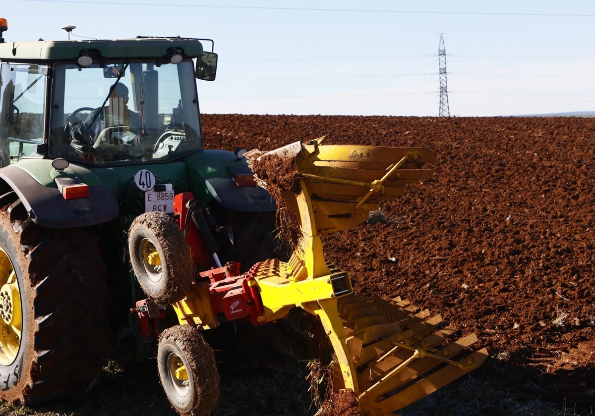 Un agricultor realiza labores en una parcela.