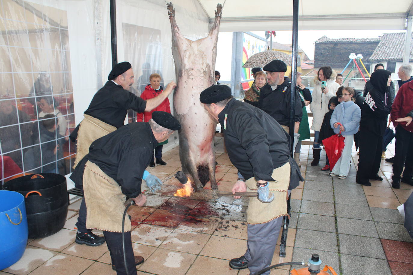 La lluvia no impide un nuevo lleno en la matanza de Campillo de Salvatierra