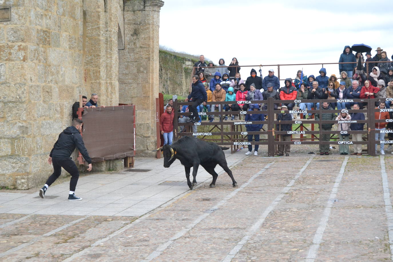 El Domingo de Piñata cierra el Carnaval del Toro