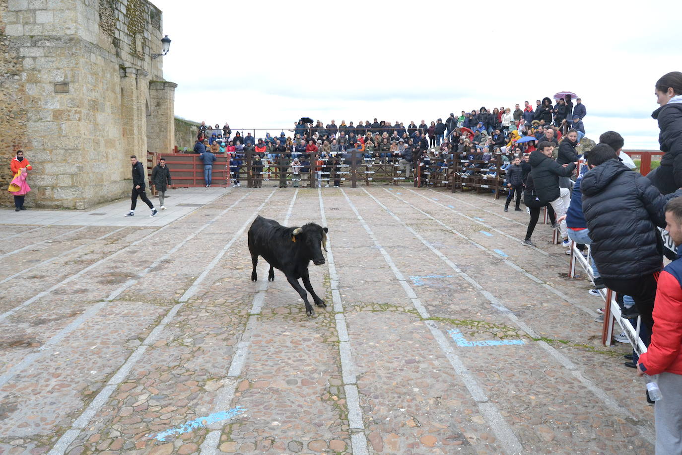 El Domingo de Piñata cierra el Carnaval del Toro