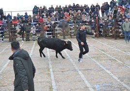 Un mozo corre delante de la vaquilla durante la suelta matutina