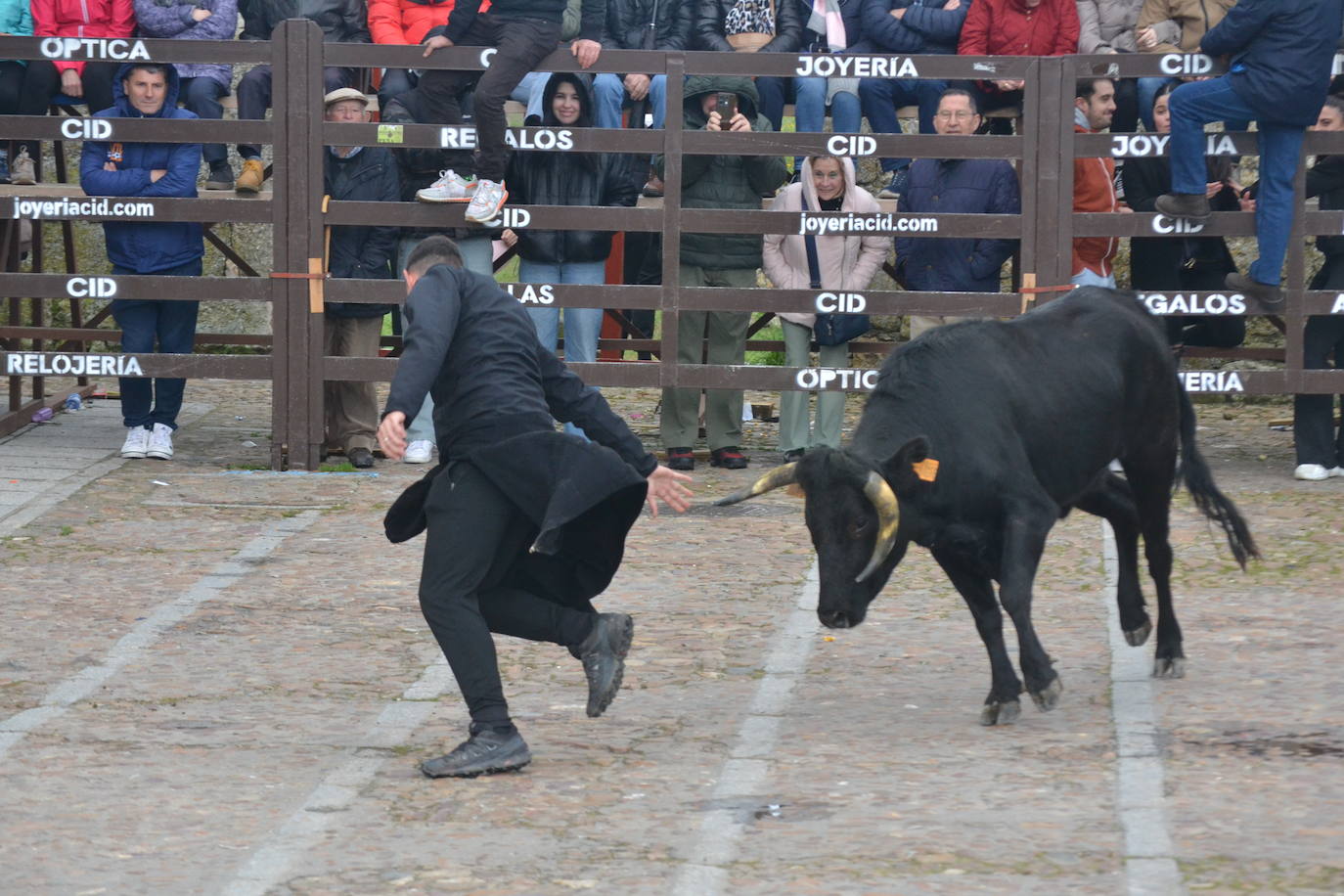 El Domingo de Piñata cierra el Carnaval del Toro
