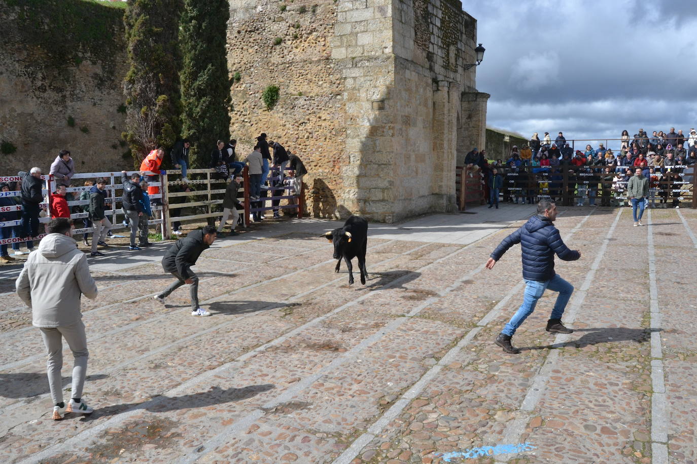 El Domingo de Piñata cierra el Carnaval del Toro