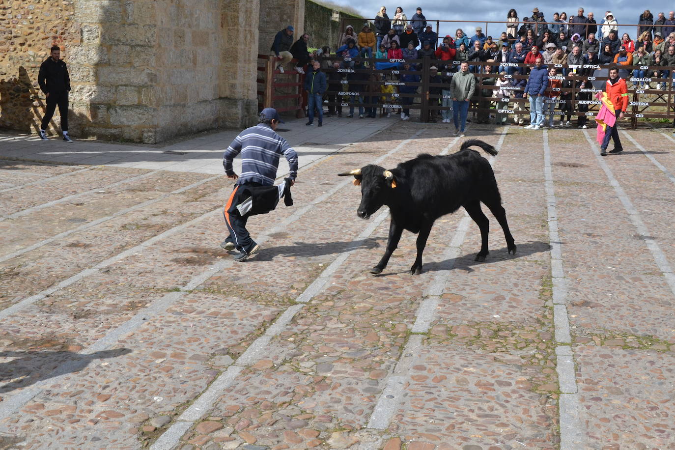 El Domingo de Piñata cierra el Carnaval del Toro
