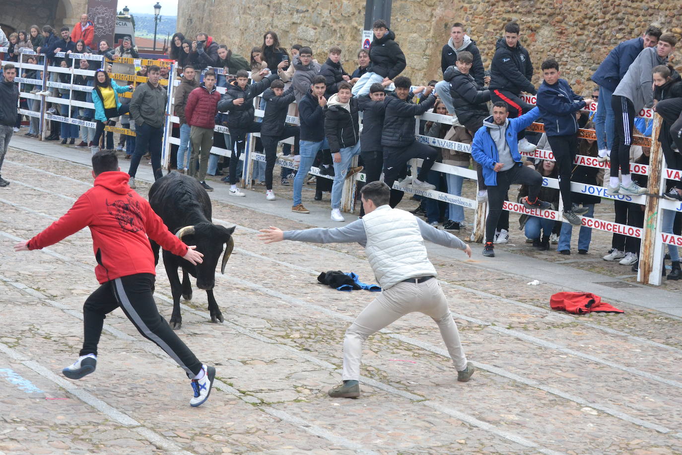 El Domingo de Piñata cierra el Carnaval del Toro