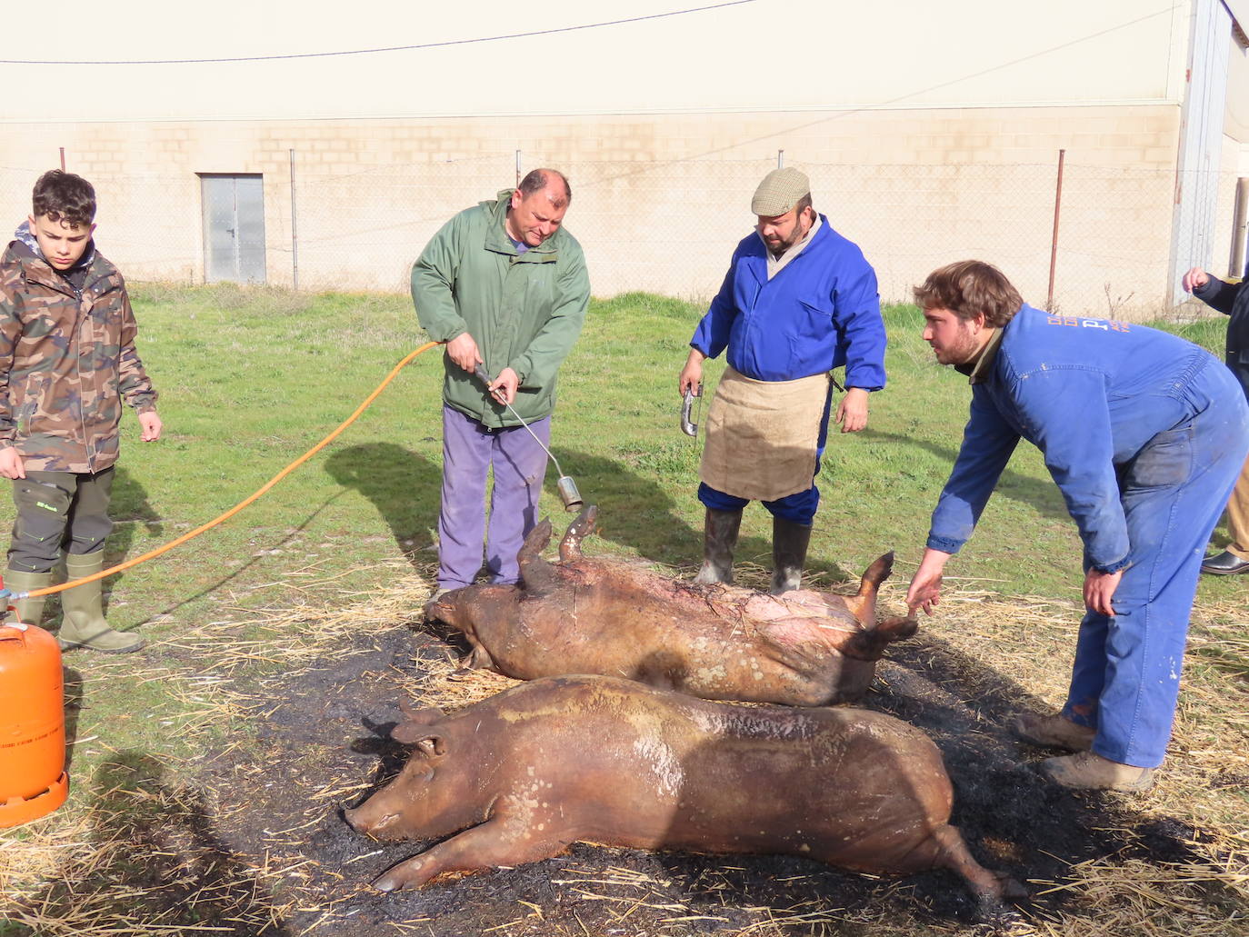 Cocido para celiacos en la X Matanza típica de Aldeaseca de la Frontera